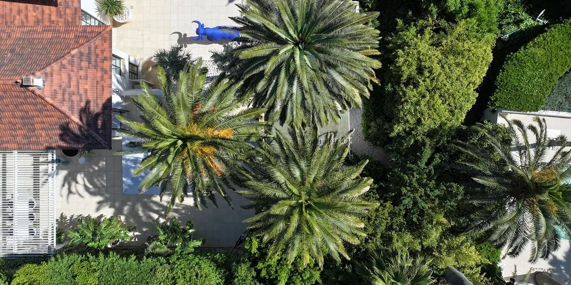 Urlaub in Mandelieu-la-Napoule